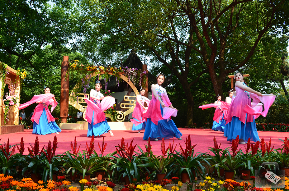 dsc_0117-copy