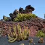 Dawno temu na … Wyspach Kanaryjskich. Jaskinie, kaktusy i Cesar Manrique.