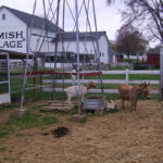 Dawno temu w … Ameryce. Lancaster County i Amisze.