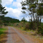 Te Araroa – pieszo przez Nową Zelandię. Część 3: Te Wairoa Road (Kerikeri) – Waikare Road (ok. 39 km) oraz odpoczynek w Rawhiti, zaręczyny w Whananaki i Nowy Rok w Whangarei.