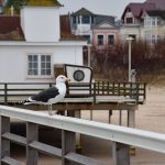 Ahlbeck i Heringsdorf – Bałtyk po niemieckiej stronie.